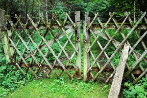 fence-436569_640(1)