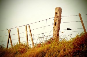 fence-336645_640