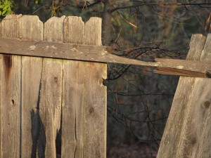 fence-17554_640